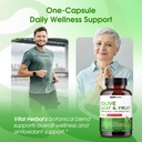 vital-herbal-organic-olive-fruit-leaf-wi-2.jpg