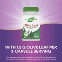 nature-s-way-olive-leaf-supports-antioxi-4.jpg