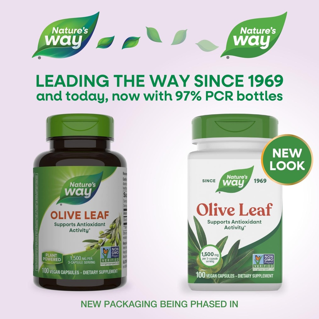 nature-s-way-olive-leaf-supports-antioxi-2.jpg