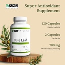 olive-leaf-no-binders-no-fillers-just-pu-4.jpg