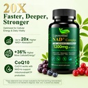 nad-supplement-120-capsules-with-resvera-5.jpg