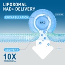 liposomal-nad-supplement-1500mg-nad-with-4.jpg