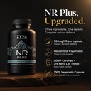 zyva-nr-plus-nicotinamide-riboside-500mg-2.jpg