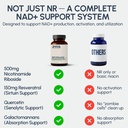 ryos-nad-supplement-for-women-men-500mg--2.jpg