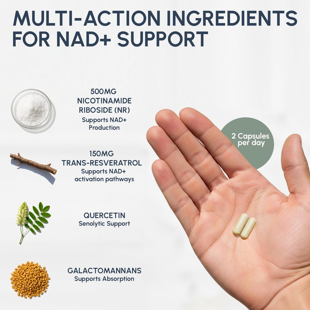 ryos-nad-supplement-for-women-men-500mg--4.jpg