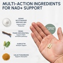 ryos-nad-supplement-for-women-men-500mg--4.jpg