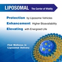 lovita-liposomal-nr-nicotinamide-ribosid-2.jpg
