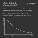 purovitalis-nad-supplement-with-nicotina-5.jpg