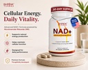 shrink-toning-nad-supplement-with-nr-cel-2.jpg