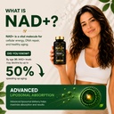 nad-supplement-1500mg-nad-resveratrol-su-2.jpg
