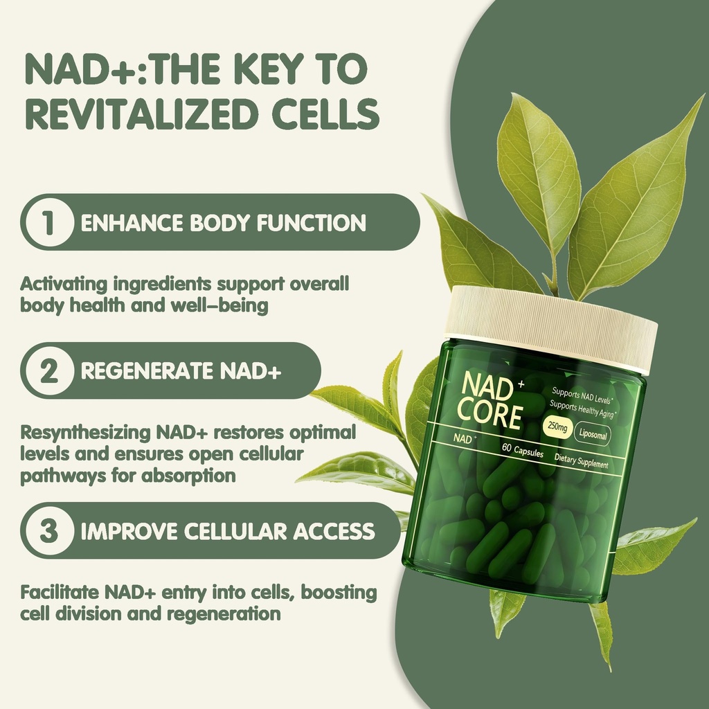 nad-nicotinamide-riboside-supplement-ext-6.jpg