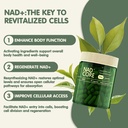 nad-nicotinamide-riboside-supplement-ext-6.jpg