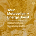 proper-the-yellows-metabolism-and-energy-3.jpg