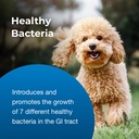 pet-ag-zoologic-bene-bac-plus-mammal-gel-6.jpg