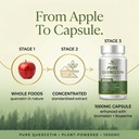 pure-quercetin-with-bromelain-and-bioper-6.jpg