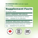 bromelain-3000-gdu-500mg-120-vegan-capsu-4.jpg
