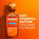 vicks-dayquil-cold-and-flu-relief-liquid-5.jpg