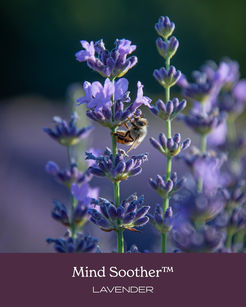 herb-pharm-mind-soother-lavender-liquid--6.jpg