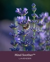 herb-pharm-mind-soother-lavender-liquid--6.jpg