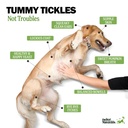 deley-naturals-probiotics-plus-chews-for-3.jpg