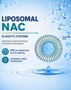 anytalk-liposomal-nac-drops-n-acetyl-cys-4.jpg