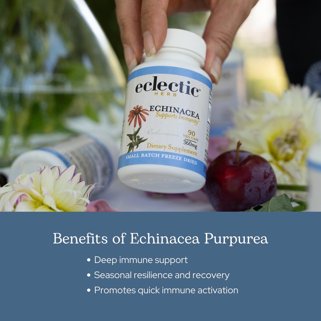 eclectic-herb-organic-echinacea-angustif-4.jpg