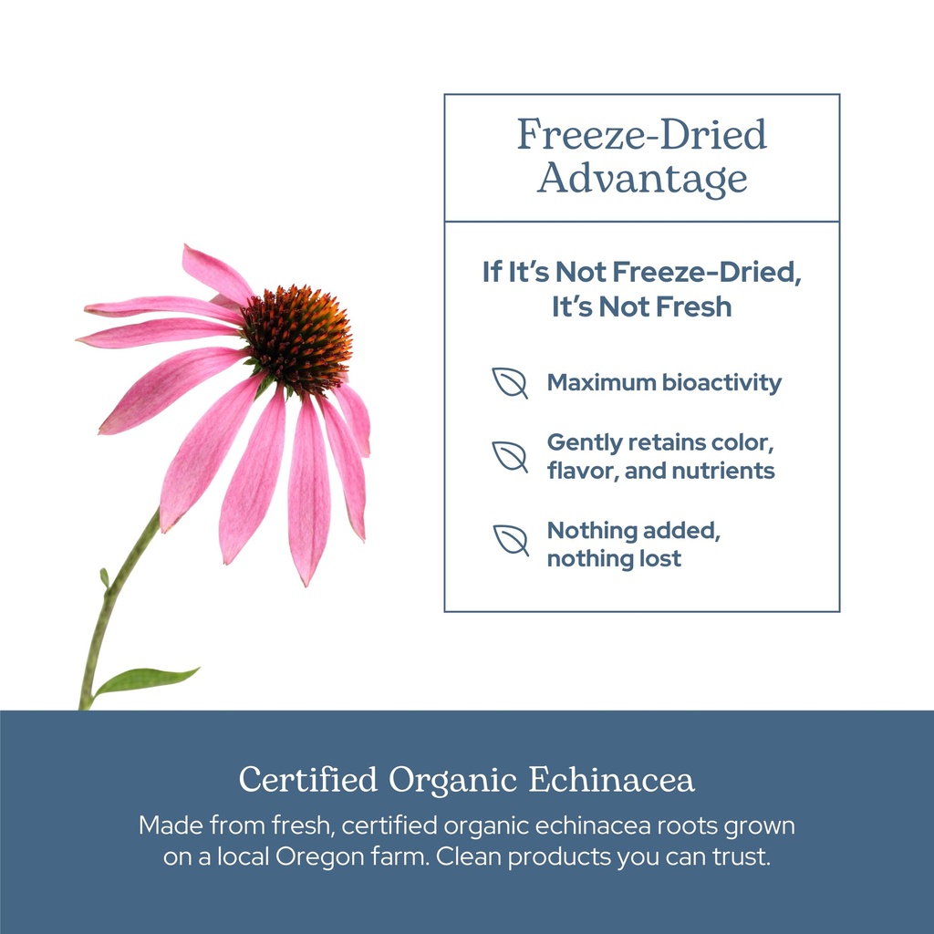 eclectic-herb-organic-echinacea-angustif-5.jpg