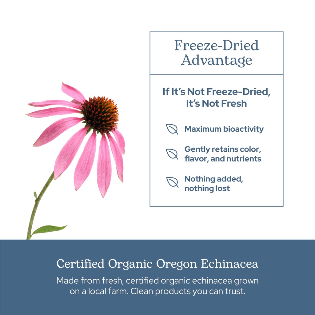 eclectic-herb-organic-echinacea-angustif-4.jpg