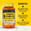 mason-natural-stress-b-complex-with-anti-2.jpg