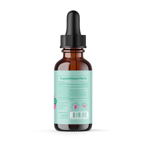 joyspring-b-complex-vital-vits-with-magn-6.jpg