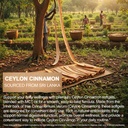 ceylon-cinnamon-capsules-with-mct-oil-60-5.jpg