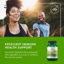 swanson-ultimate-ashwagandha-ksm-66-herb-6.jpg