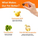 coq10-heart-chew-for-dogs-support-dogs-h-2.jpg