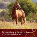 vita-flex-pro-e-selenium-supplement-vita-4.jpg