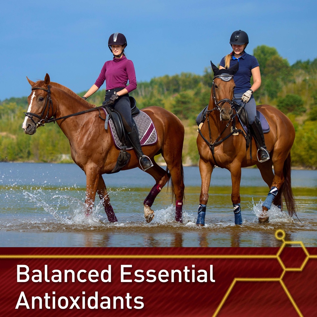 vita-flex-pro-e-selenium-supplement-vita-5.jpg