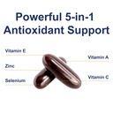 carlson-aces-zn-vitamins-a-c-e-selenium--4.jpg