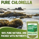 xprs-nutra-chlorella-powder-broken-cell--3.jpg
