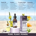 marie-originals-mullein-garlic-ear-oil-d-3.jpg