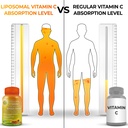 immune-daily-wellness-support-bundle-for-3.jpg