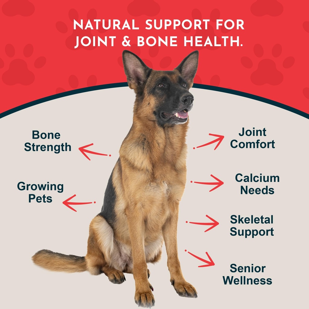 animal-essentials-seaweed-calcium-supple-2.jpg