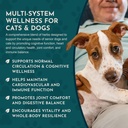 animal-essentials-senior-support-for-dog-6.jpg