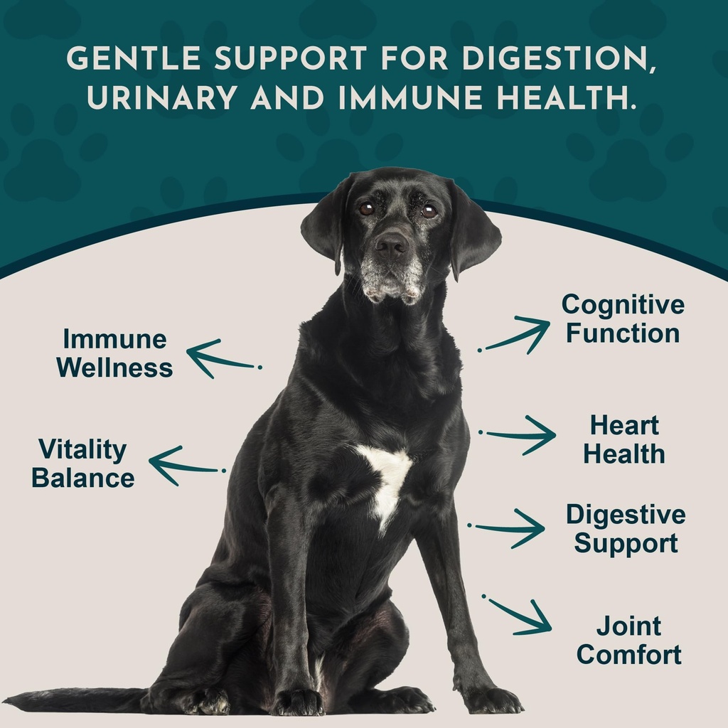 animal-essentials-senior-support-for-dog-3.jpg