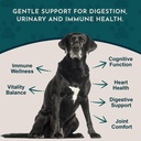 animal-essentials-senior-support-for-dog-3.jpg
