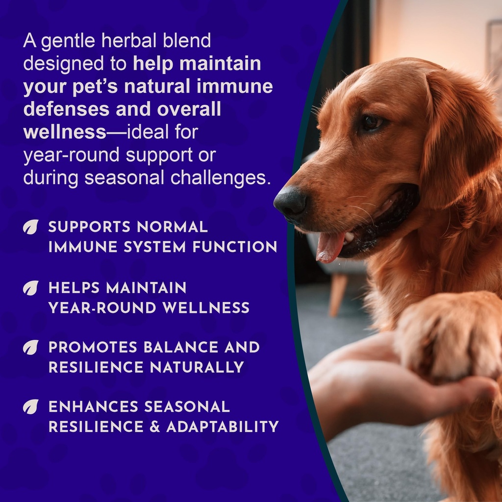 animal-essentials-super-immune-dog-cat-i-5.jpg