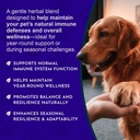 animal-essentials-super-immune-dog-cat-i-5.jpg