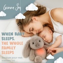 gemma-joy-baby-sleep-soother-bunny-11-in-3.jpg