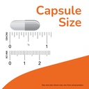 now-supplements-acetyl-l-carnitine-500-m-4.jpg