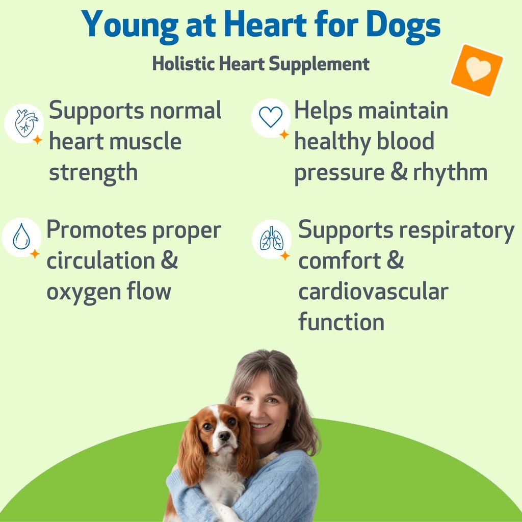 pet-wellbeing-young-at-heart-for-dogs-se-2.jpg