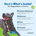 pet-wellbeing-young-at-heart-for-dogs-se-3.jpg