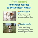 pet-wellbeing-young-at-heart-for-dogs-se-4.jpg